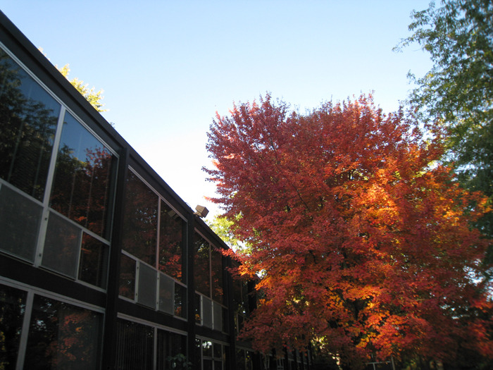 The Landscape Mies Detroit — Lafayette Park, Detroit, Michigan